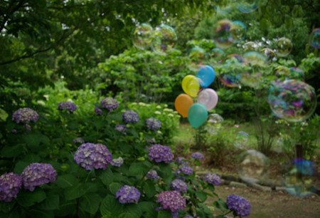 IMGP0382_0617