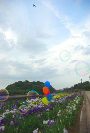IMGP5267_0617
