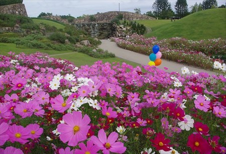 IMGP0168_1004