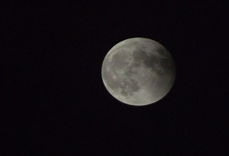 DSCF3074_1008