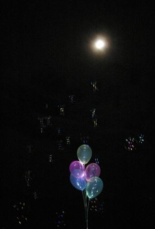 IMGP2898_1008