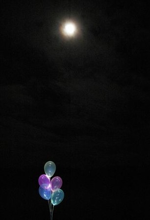 IMGP2906_1008