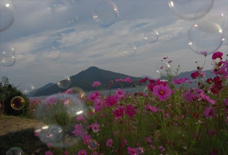 IMGP1182_1011