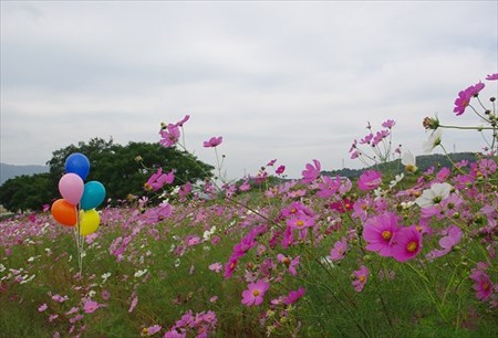 IMGP1281_1011