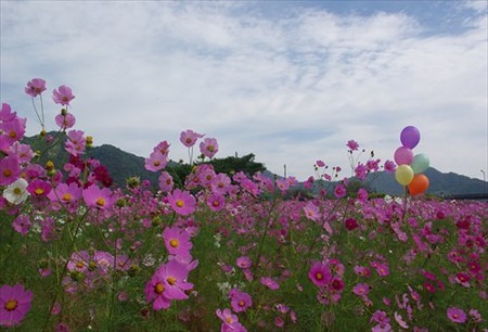 IMGP1525_1011
