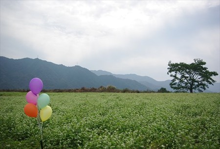 IMGP1568_1011