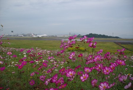 IMGP2286_1012