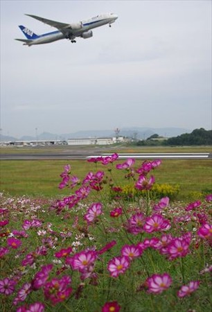 IMGP2336_1012
