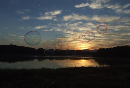 DSCF9319_1018
