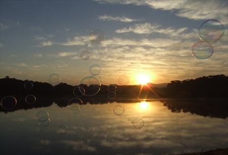 DSCF9344_1018