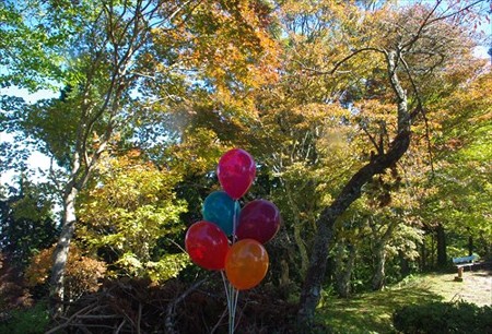 IMGP1767_1019