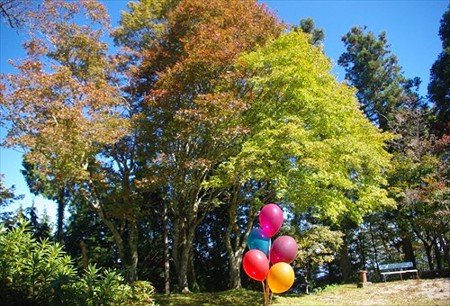 IMGP1869_1019