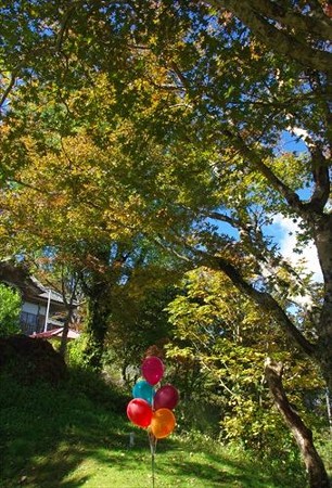 IMGP2086_1019