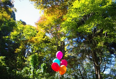 IMGP2132_1019