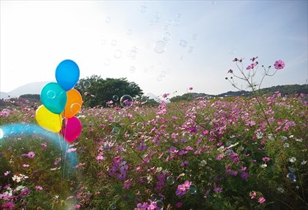 IMGP2357_1019