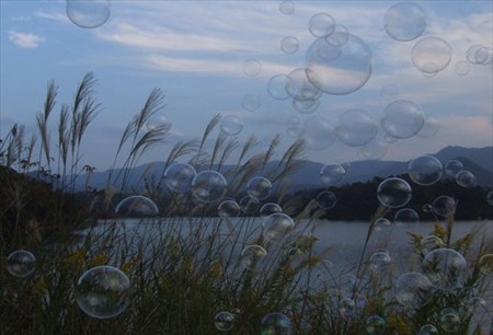 DSCF9886_1021