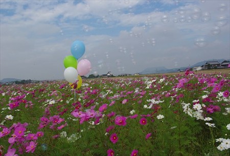 IMGP2704_1025