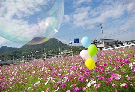 IMGP2922_1025