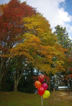 IMGP2969_1025