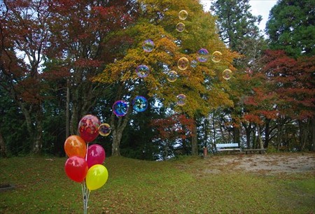 IMGP2979_1025
