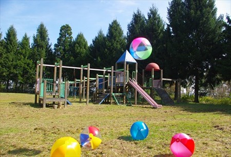 IMGP3387_1026