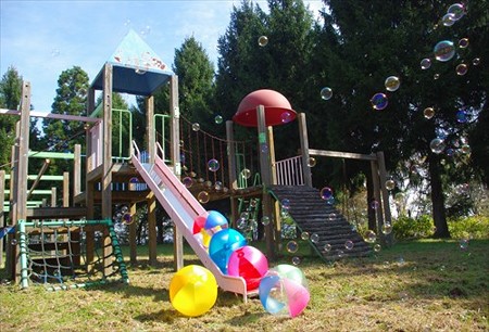 IMGP3397_1026