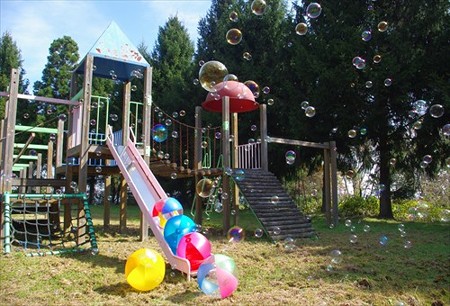 IMGP3420_1026