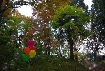 IMGP3671_1026