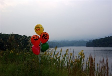 IMGP3918_1026