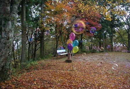 IMGP0332_1101