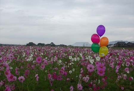 IMGP0667_1102
