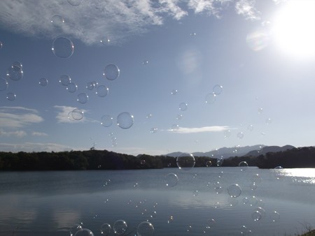 DSCF3459_1103