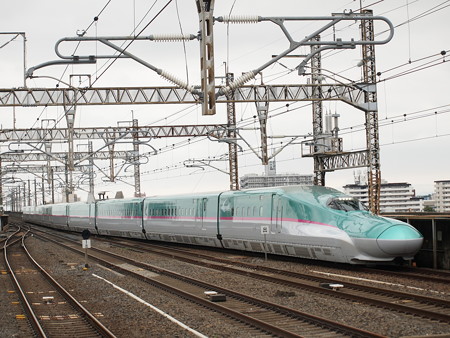 E5系やまびこ 東北新幹線小山駅01