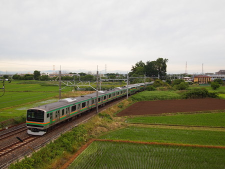 E231系普通 東北本線白岡~新白岡01