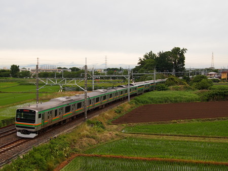 E231系普通 東北本線白岡~新白岡02