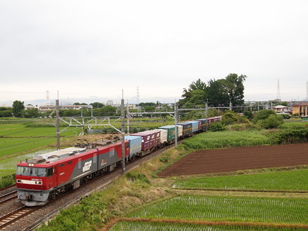 EH500貨物 東北本線白岡~新白岡