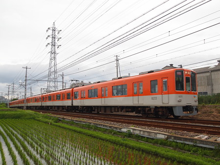阪神8000系直通特急 山電本線藤江~林崎松江海岸02