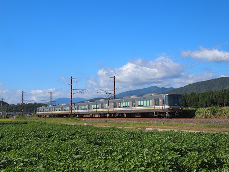 223系新快速 北陸本線河毛~虎姫