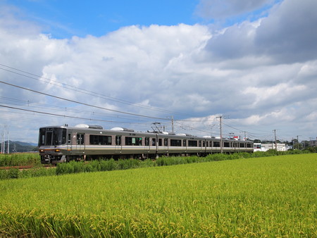 223系普通 山陽本線竜野~相生