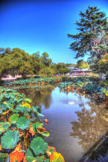 _SDI4500_1_2_tonemapped
