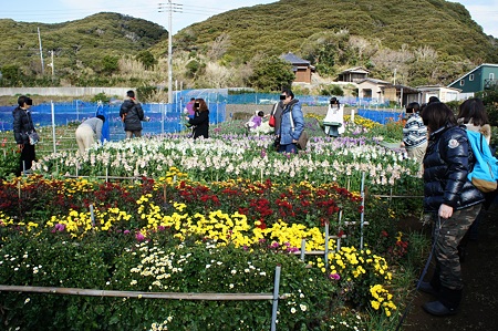 花つみ園にて
