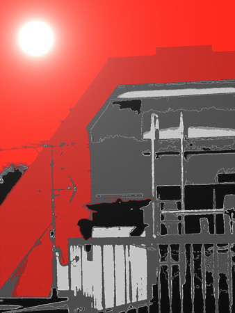 カラス_triangular