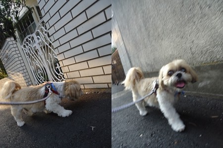 散歩