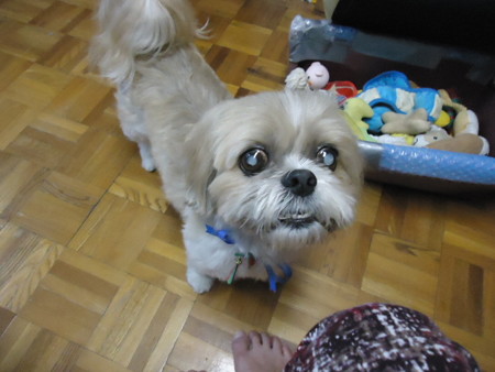 DSC09702