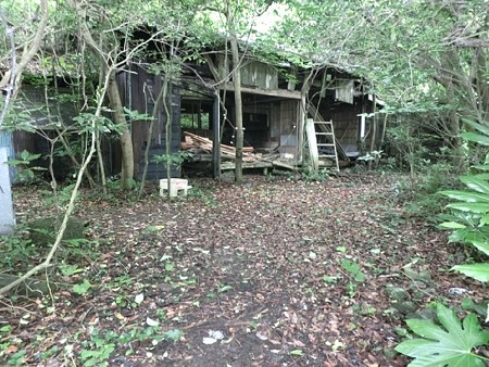 kanndume