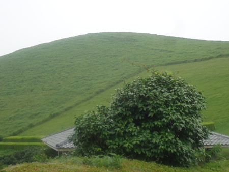 DSC09869