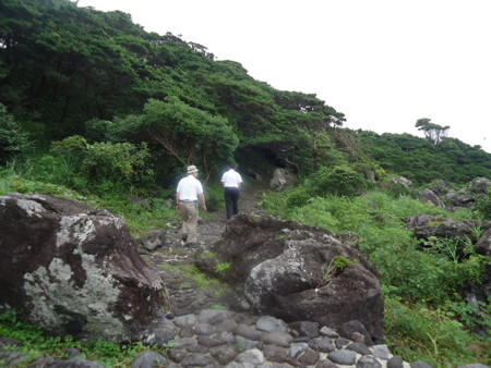 DSC09878