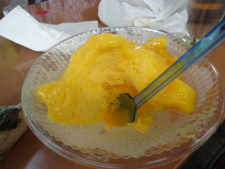 DSC00011