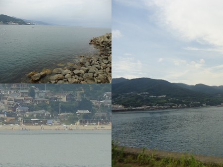 海