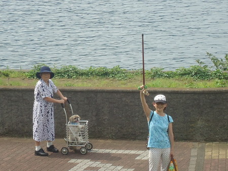DSC00035